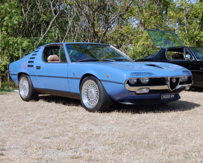 download Alfa Romeo Montreal workshop manual