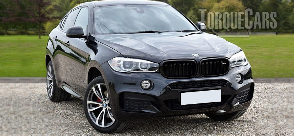 download BMW X6 workshop manual