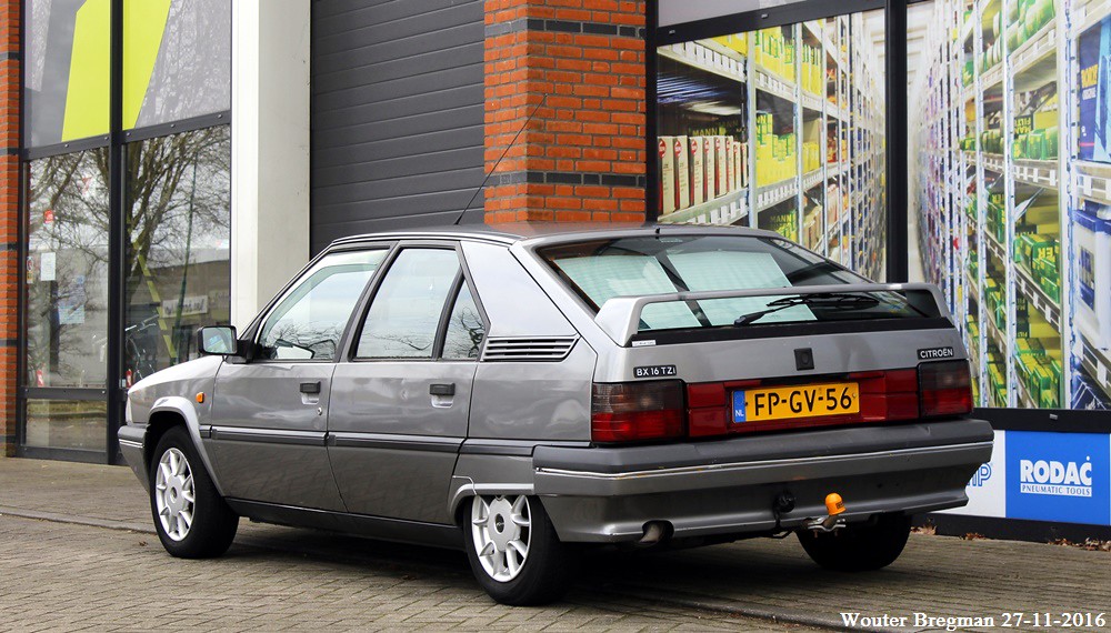 download CITROEN BX workshop manual