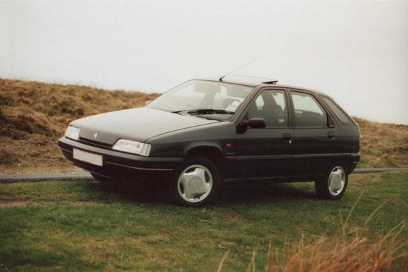 download CITROEN ZX 91 98 workshop manual