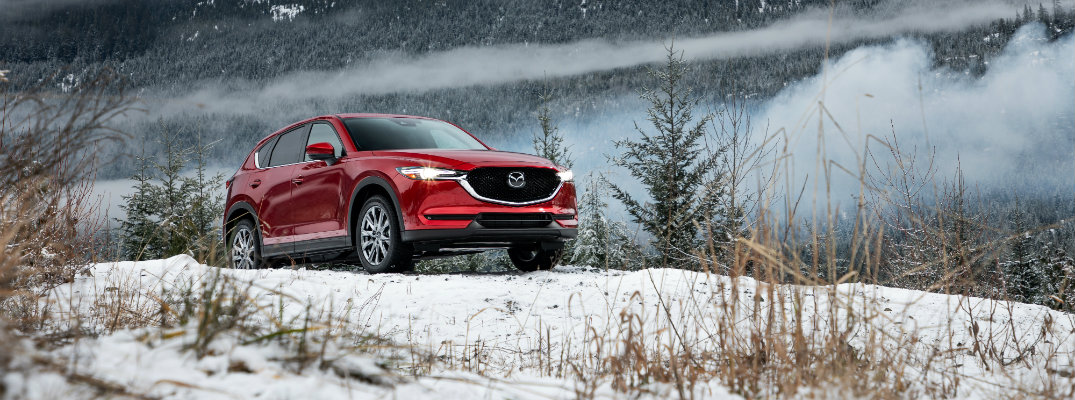 download MAZDA CX 9Models workshop manual