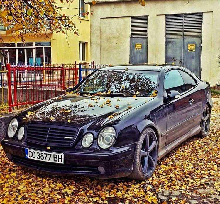 download Mercedes Benz CLK430 workshop manual