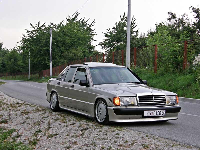 download Mercedes Benz W201 workshop manual