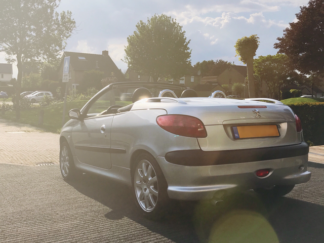 download PEUGEOT 206CC able workshop manual