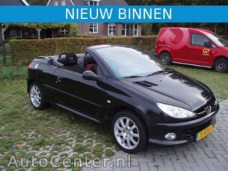 download PEUGEOT 206CC able workshop manual