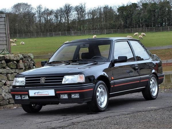 download PEUGEOT 309 workshop manual