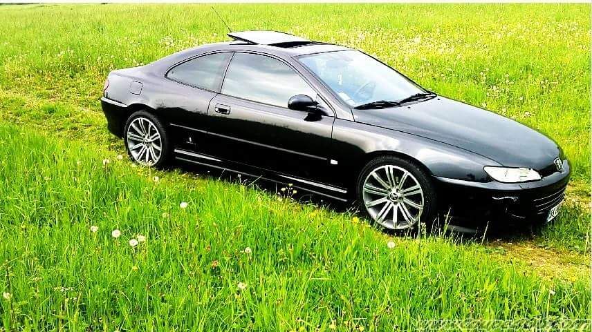 download PEUGEOT 406 COUPE workshop manual