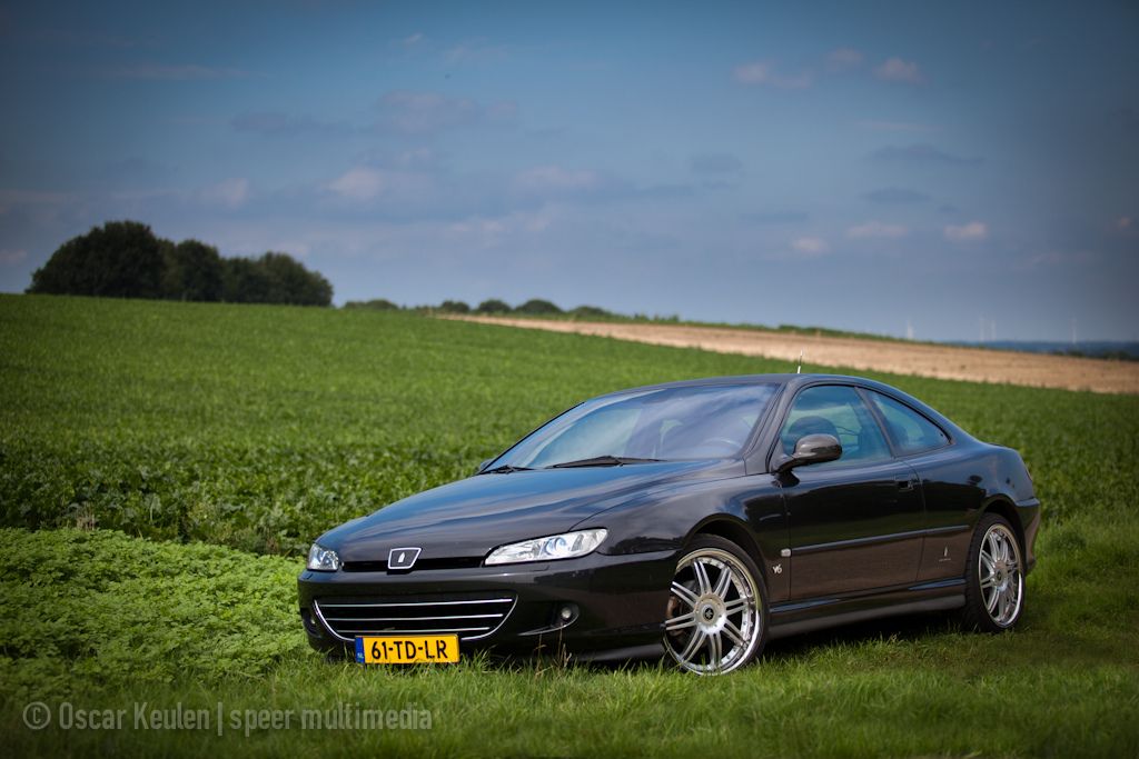 download PEUGEOT 406 COUPE workshop manual