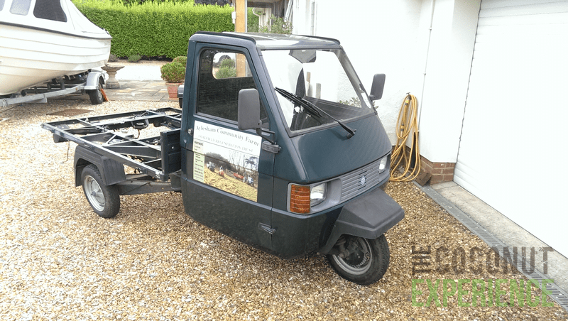 download PIAGGIO APE TM BENZINA able workshop manual