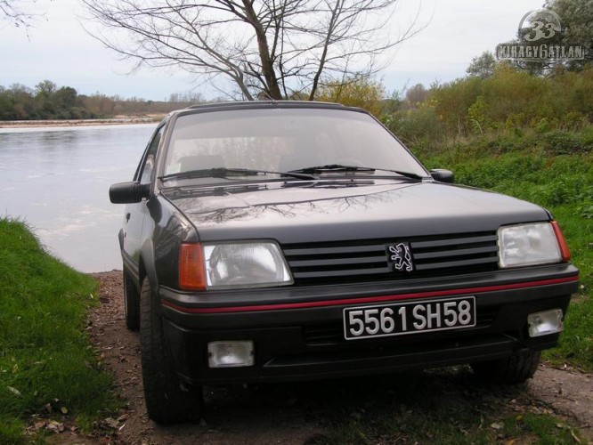 download Peugeot 205 GL GE Van SR GT 1.6 Gti 1.9 Gti 83 95 workshop manual