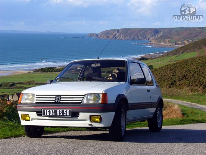 download Peugeot 205 GL GE Van SR GT 1.6 Gti 1.9 Gti 83 95 workshop manual