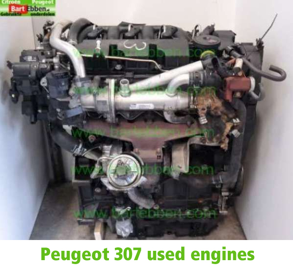 download Peugeot 307 Engine workshop manual