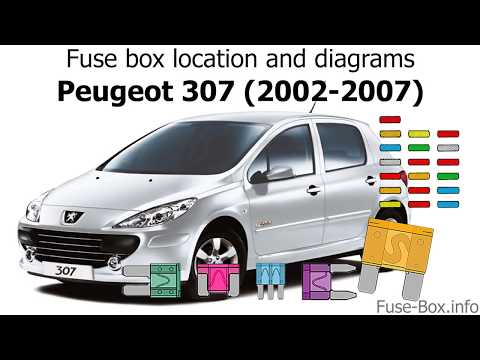download Peugeot 307 MultiLanguage workshop manual