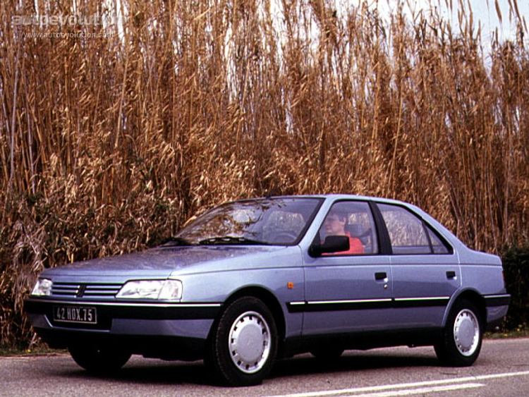 download Peugeot 405 workshop manual