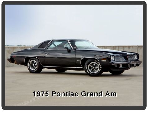 download Pontiac LeMans workshop manual