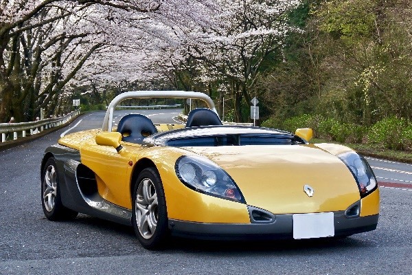 download Renault Spider workshop manual