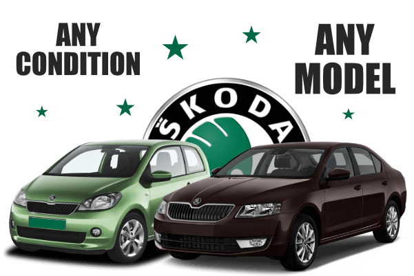 download Skoda Citigo workshop manual