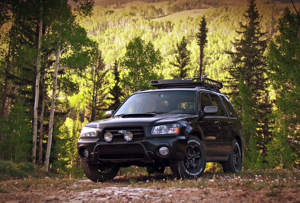 download Subaru Forester workshop manual