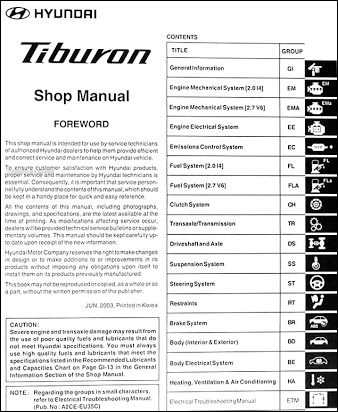 download Tiburon workshop manual